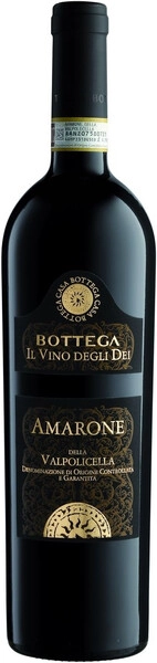 Bottega Il Vino Degli Dei Amarone della Valpolicella DOCG  2016  16% 0.75L IT вино красное